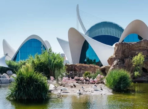 Oceanogràfic de Valencia Oceanogràfic de Valencia: sumérgete en los ecosistemas del planeta