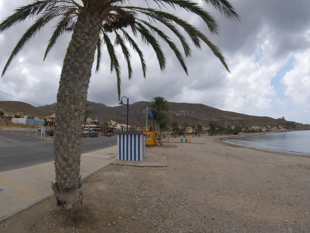 La respuesta del Ayuntamiento: entre la inacción y el compromiso