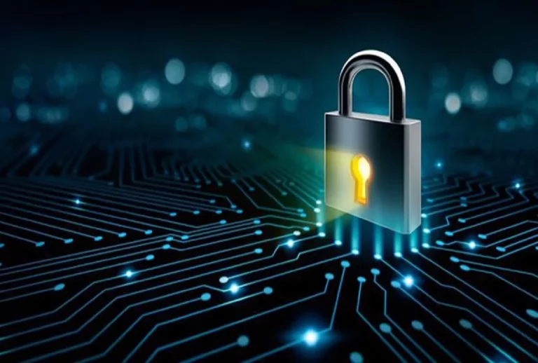 Protección de datos personales en Pin Up: con qué puedes contar