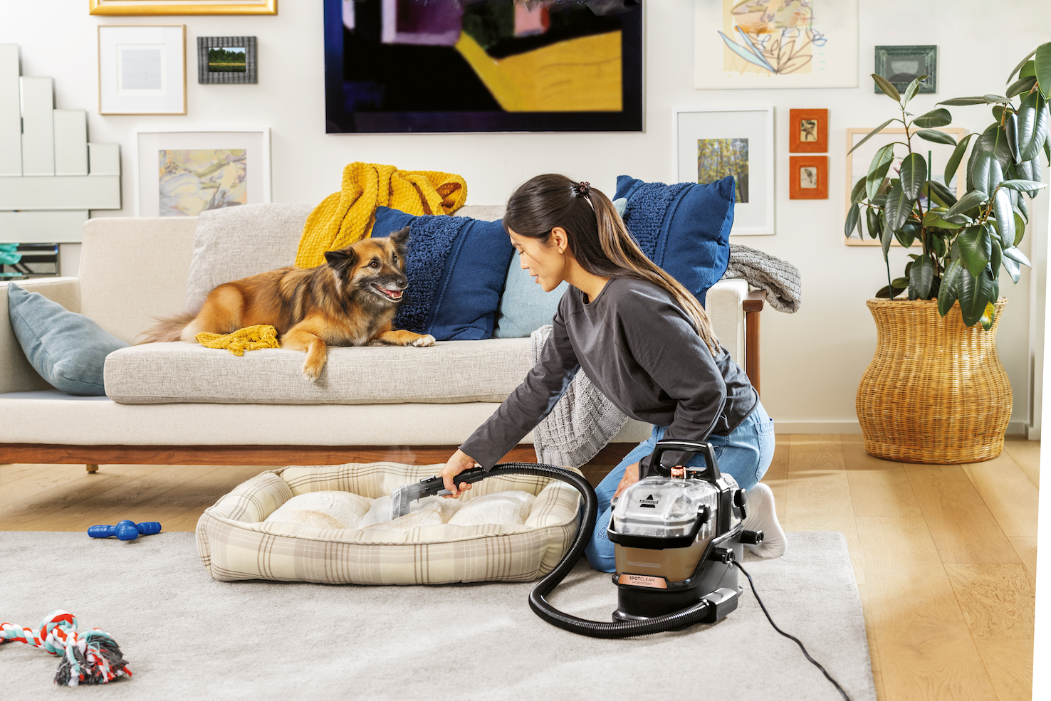 BISSELL lanza SpotClean Hydrosteam Pro: el nuevo aspirador quitamanchas más potente y rápido 1 SpotClean HydroSteam Pro 3700N Key Visual B darker liquid