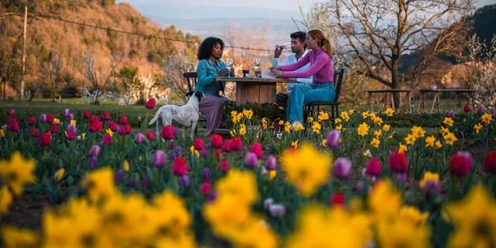 A 1 hora de Barcelona puedes disfrutar de un milagro holandés ¡No te lo pierdas! 1 A una hora de Barcelona aparece un lugar maravilloso