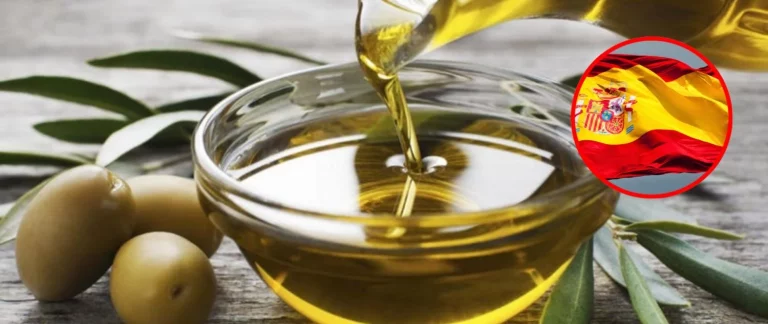 ¡El rey del aceite! España es el mayor productor del olivo y no creerás la diferencia con Italia