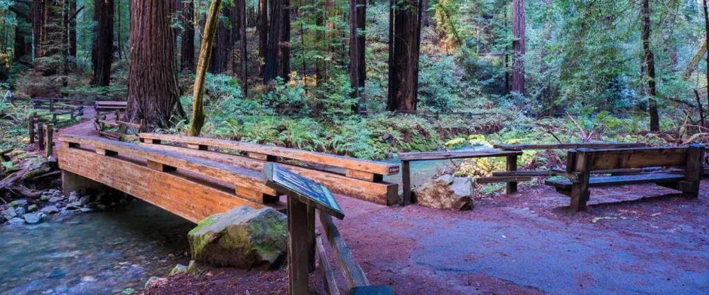 Un misterio que envuelve a gran parte de Estados Unidos