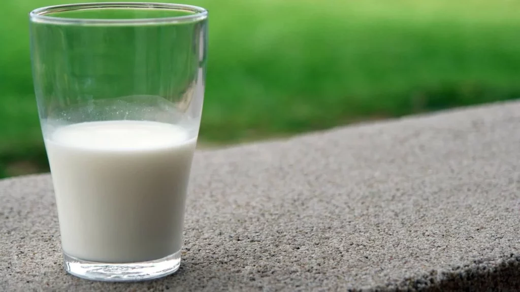 Esta leche de marca blanca es mejor que las de Pascual, Asturiana o Puleva, lo dice la OCU 92 La diversidad del mundo lácteo