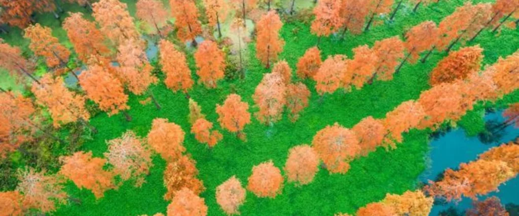 El lago verde que atrae a miles de turistas cada año