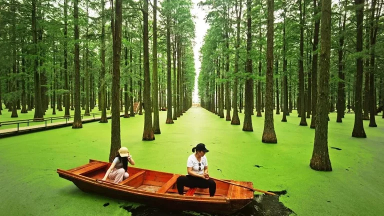 El asombroso lago verde en China que se volvió un video viral por una increíble razón