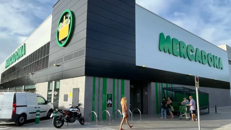 El mejor helado de Mercadona para el verano es de Hacendado, no de Nestlé ni de Frigo