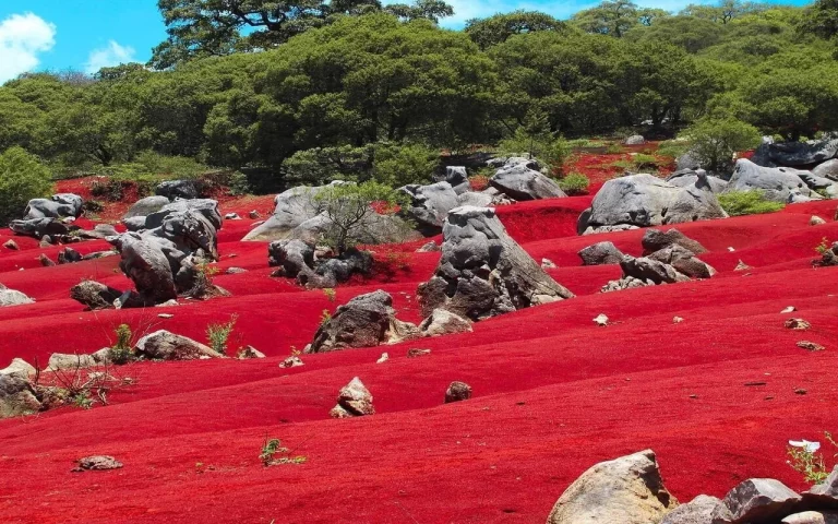 Ir a 'Marte' nunca fue tan fácil: Las Dunas Rojas de Pacula te esperan con una sorpresa