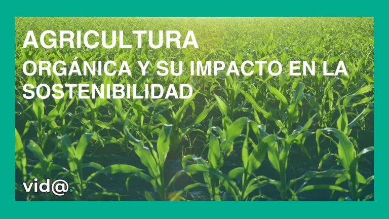 Agricultura orgánica y su impacto en la sostenibilidad