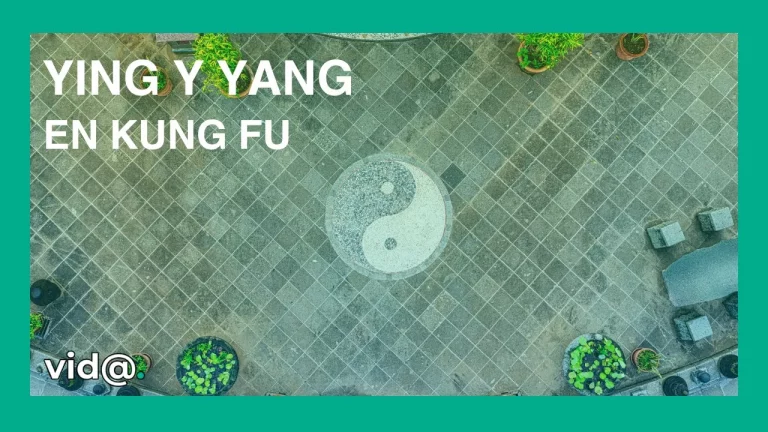 Yin y Yang: un concepto milenario aplicado al Kung Fu