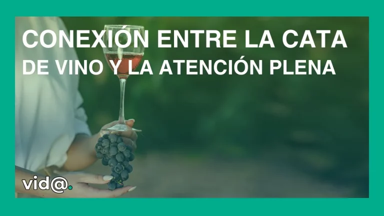 Conexión entre la cata de vino y la atención plena Conexión entre la cata de vino y la atención plena