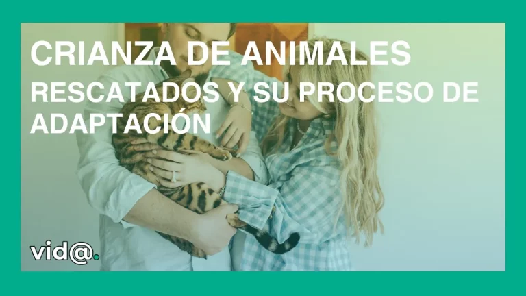 Crianza de animales rescatados y su proceso de adaptación