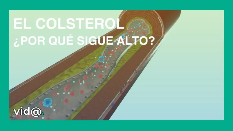 Como bien y hago deporte, pero el colesterol sigue alto