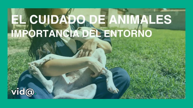 Importancia del entorno en el cuidado de animales Importancia del entorno en el cuidado de animales