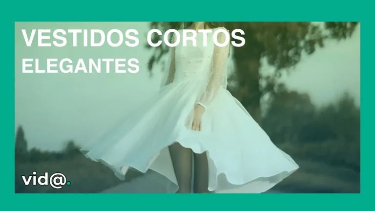 Vestidos cortos elegantes Vestidos cortos elegantes