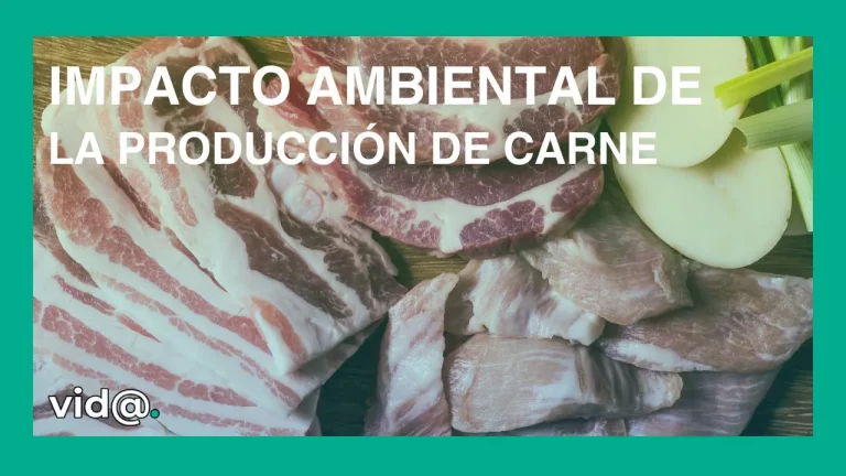 Impacto ambiental de la producción de carne