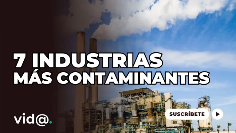 Las 7 industrias más contaminantes