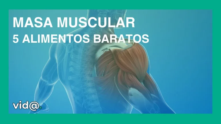 Dieta para aumentar masa muscular 5 alimentos baratos que se incluyen en ella Dieta para aumentar masa muscular 5 alimentos baratos que se incluyen en ella