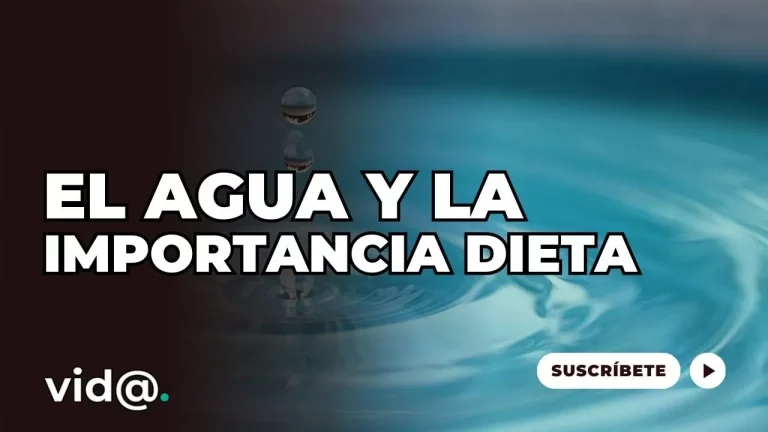 El agua: un elemento esencial en la dieta