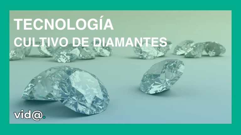 Tecnología de cultivo de diamantes Tecnología de cultivo de diamantes