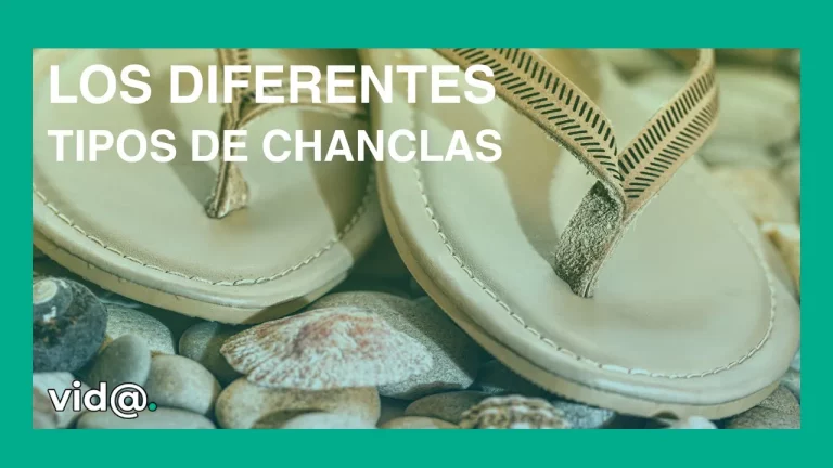 Los diferentes tipos de chanclas