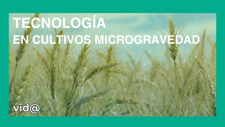Tecnología para la optimización de cultivos en microgravedad