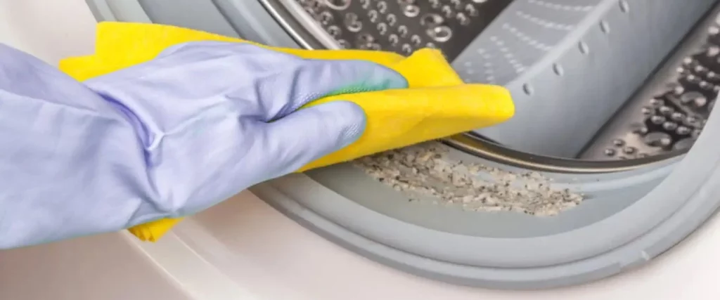 El producto natural que quitará el mal olor de tu lavarropas