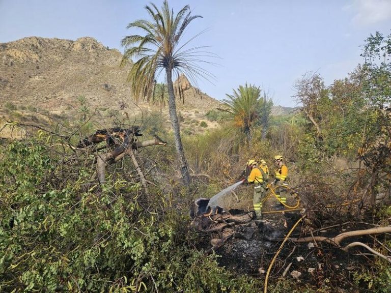 Controlado el incendio en la Sierra del Salitre, Ricote (Murcia)