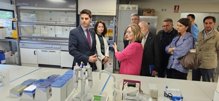 El Instituto Madrileño de Estudios Avanzados estudia fórmulas para disminuir la contaminación por microplásticos