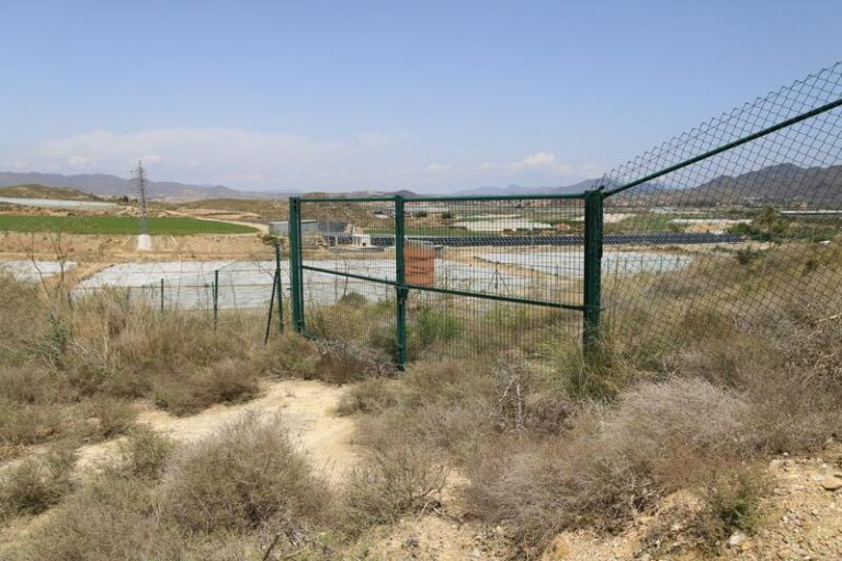 TEDH investigará la demanda de ecologistas por la inacción en palomares de Almería