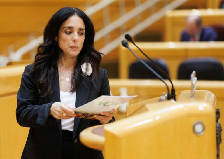 El PP rechaza en el Senado la propuesta de Vox de modificar el Reglamento para obstruir la tramitación de leyes como la amnistía