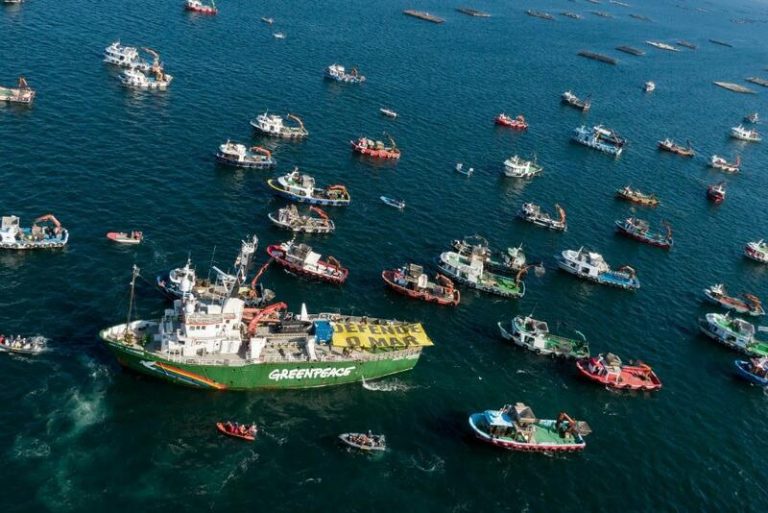 Greenpeace pide defender la pesca artesanal y abordar el relevo generacional del sector