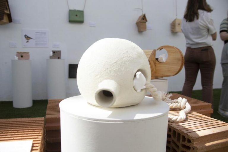 Diseñan casitas para pájaros adaptadas a las necesidades de 14 especies de aves autóctonas para repoblar áreas urbanas