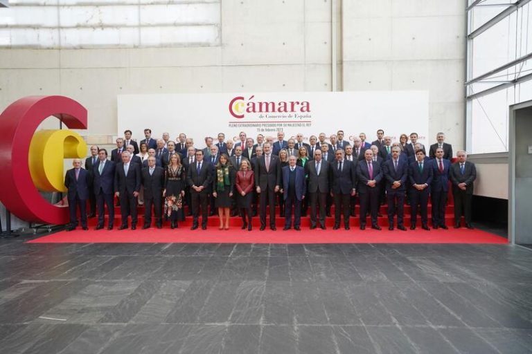 Cámara de España felicita al Rey por su décimo aniversario