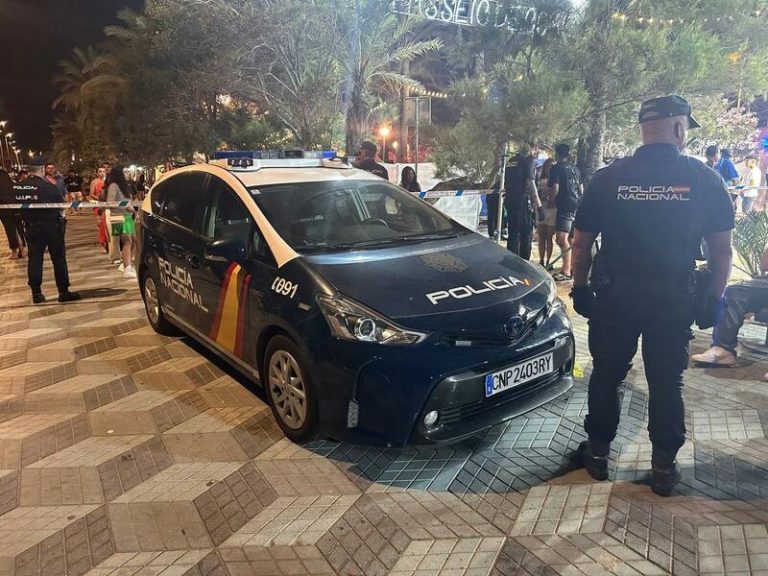 La Policía detiene en Alicante una masa de jóvenes que quería acceder a una barraca