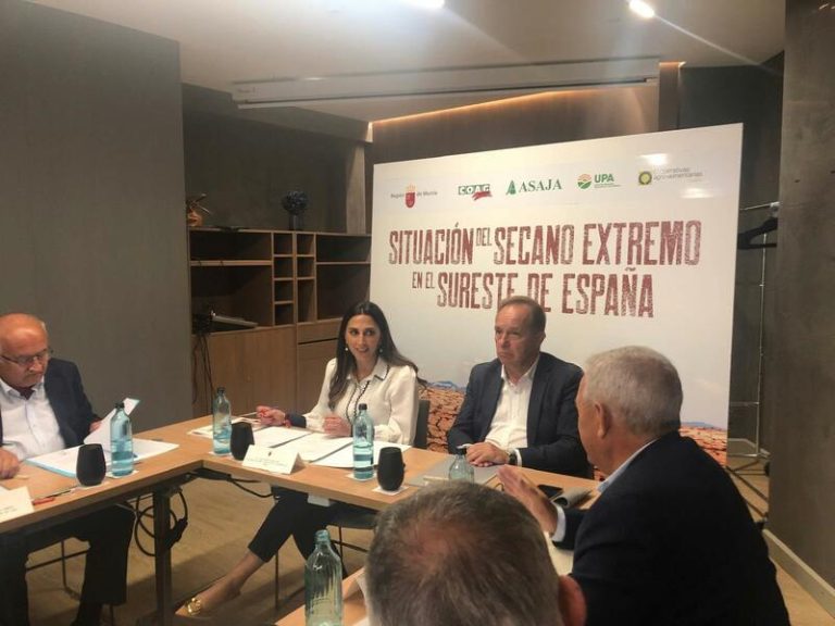 Murcia y Andalucía piden una reunión a Planas para tratar la problemática del cultivo de secano