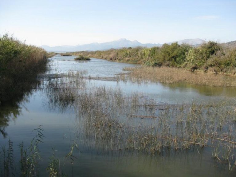 BirdLife inicia una revisión de las áreas importantes para conservar las aves y biodiversidad