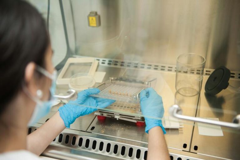 Estudio aprueba el uso de trasplante de microbiota fecal para tratar una infección del colon