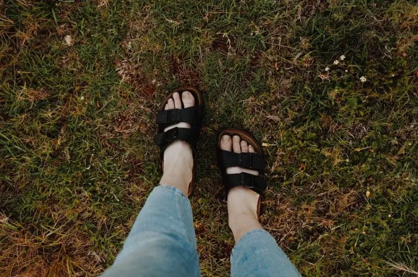 Aldi: Calidad y accesibilidad a un precio increíble