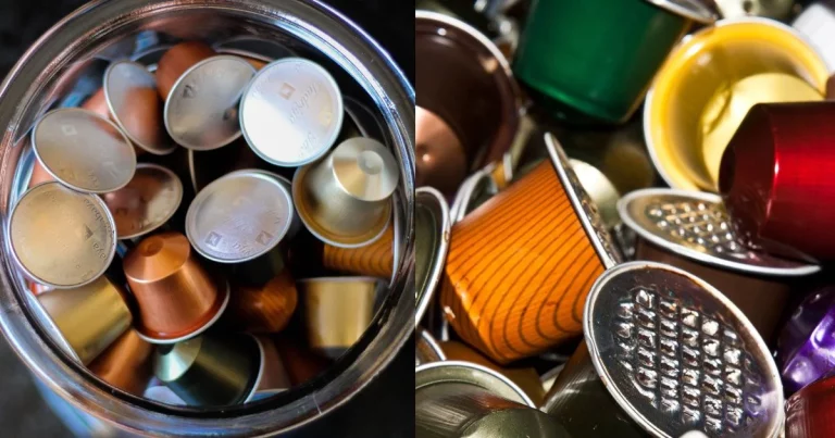 El truco infalible de las cápsulas de café para eliminar los mosquitos de tu hogar