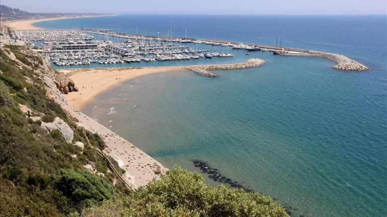 No hay por qué alarmarse: bañarse en el Mediterráneo sigue siendo seguro pese a la bacteria Vibrio vulnificus, según expertos