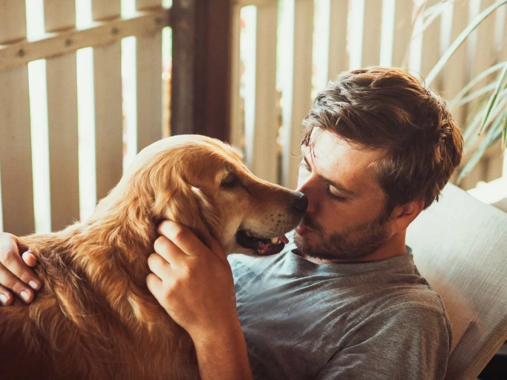 Aunque no lo creas, los perros odian las muestras de afecto humano 32 Juegos interactivos para fortalecer el vínculo