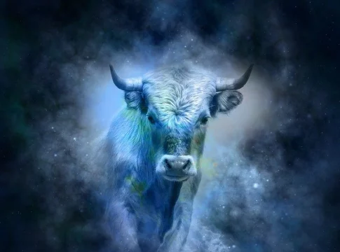 Tauro Tauro: el signo de la abundancia