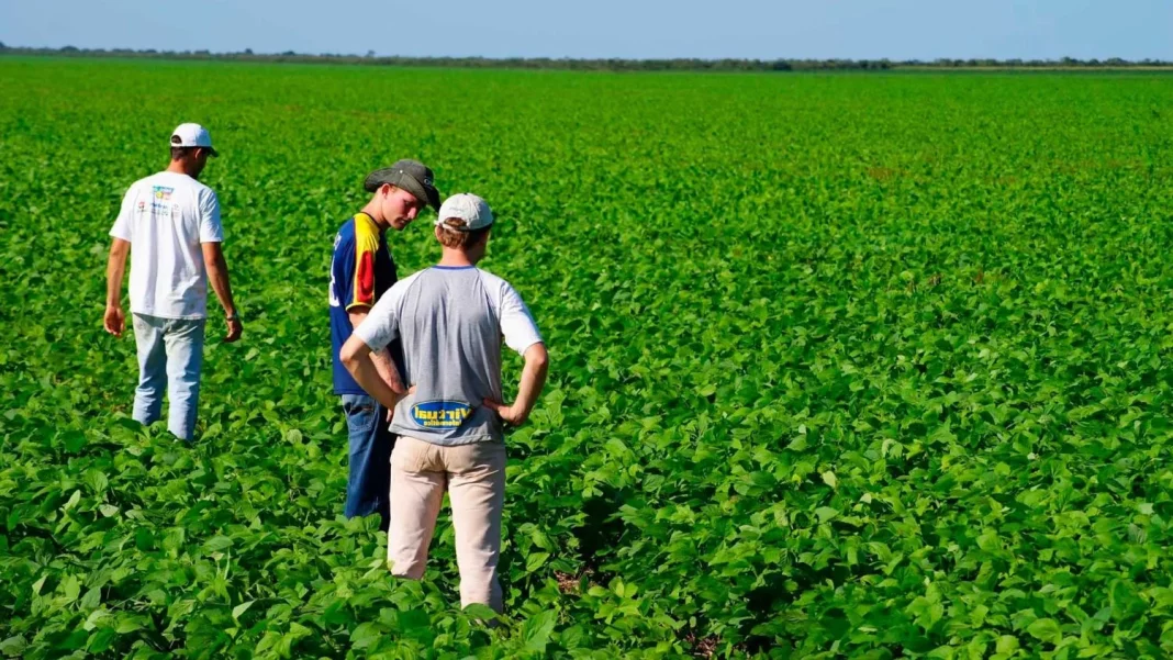 La brecha entre la demanda empresarial y la elección de carreras