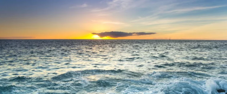 ¡Desastre en el río Segura! Descubren vertido de herbicida dañino