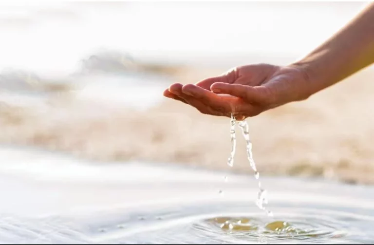 El Grupo Azura obtiene la certificación de la Alliance for Water Stewardship, que reconoce el éxito de su estrategia sostenible en la gestión de los recursos hídricos