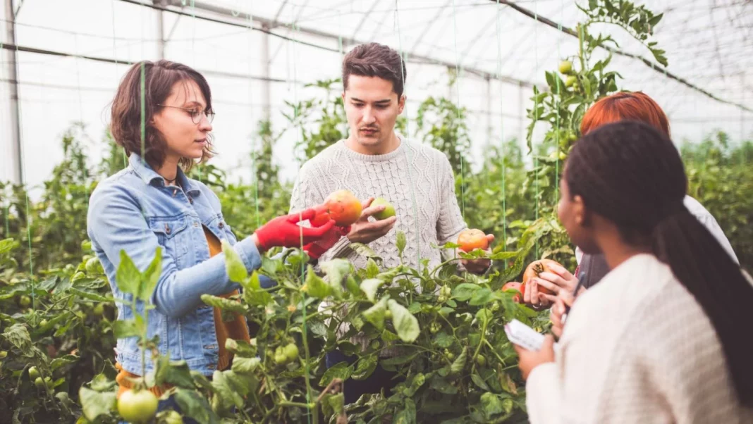 El enigma de la ingeniería agrónoma: una carrera universitaria incomprendida