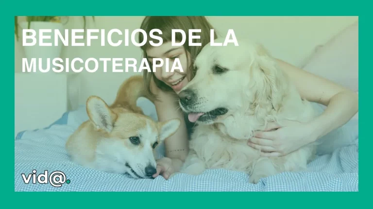 Beneficios de la musicoterapia para mascotas ansiosas