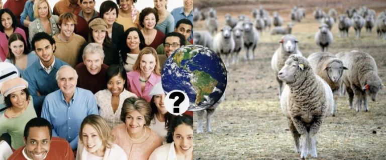 Descubre este país donde las ovejas superan en número a los humanos