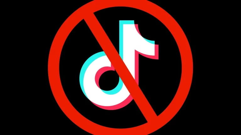 Chau TikTok: los 5 países que prohibieron la red social más usada
